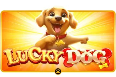 bighoki288 featured game showcase
